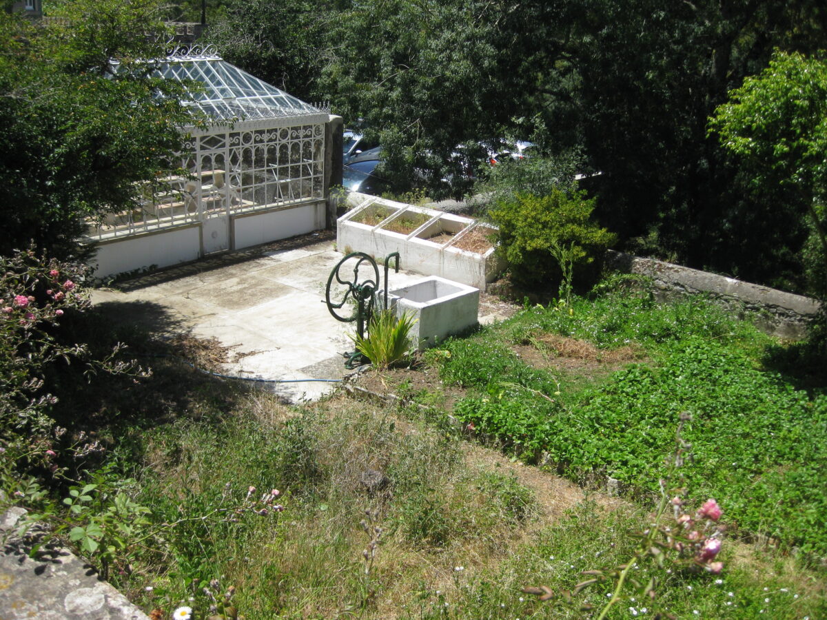 Water Wheel in a Garden