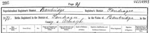 1871 Births Register Header